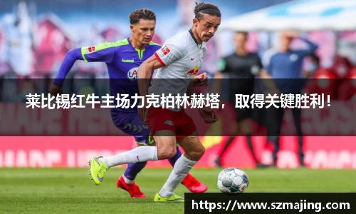 博鱼.体育官网