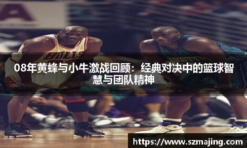 08年黄蜂与小牛激战回顾：经典对决中的篮球智慧与团队精神