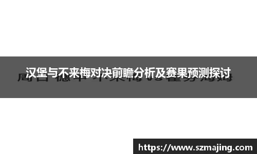 汉堡与不来梅对决前瞻分析及赛果预测探讨