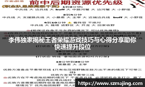 李伟独家揭秘王者荣耀游戏技巧与心得分享助你快速提升段位